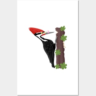 Cue funny Pileated woodpecker cartoon illustration Posters and Art